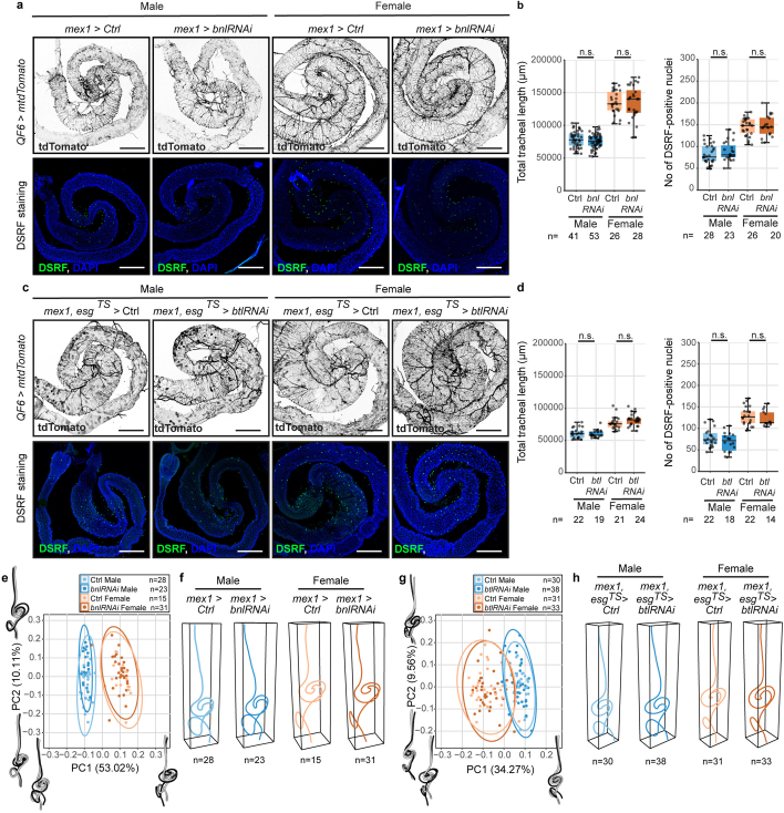 Extended Data Fig. 5