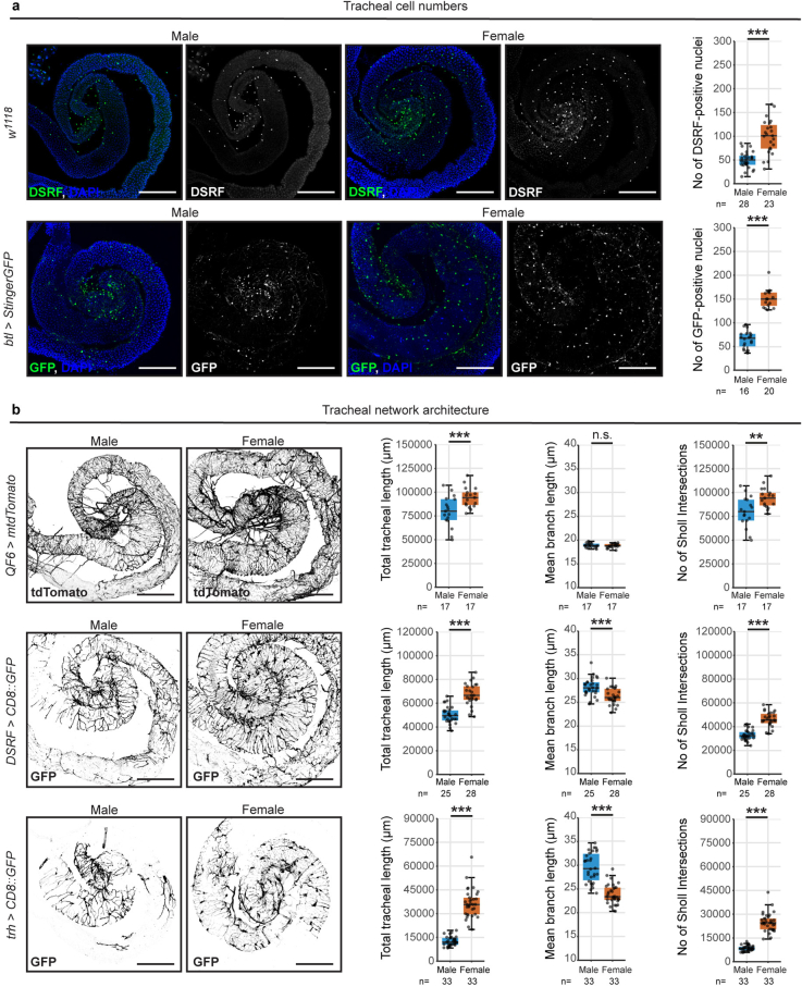 Extended Data Fig. 6