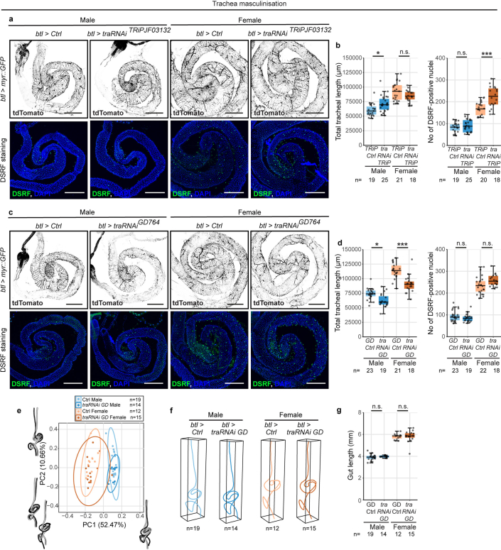 Extended Data Fig. 7