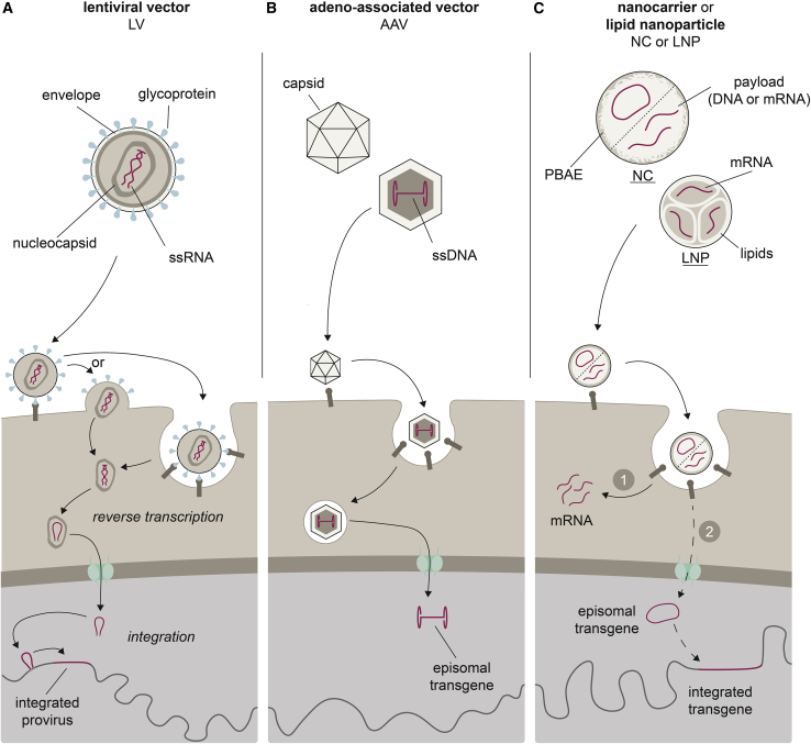 Figure 2