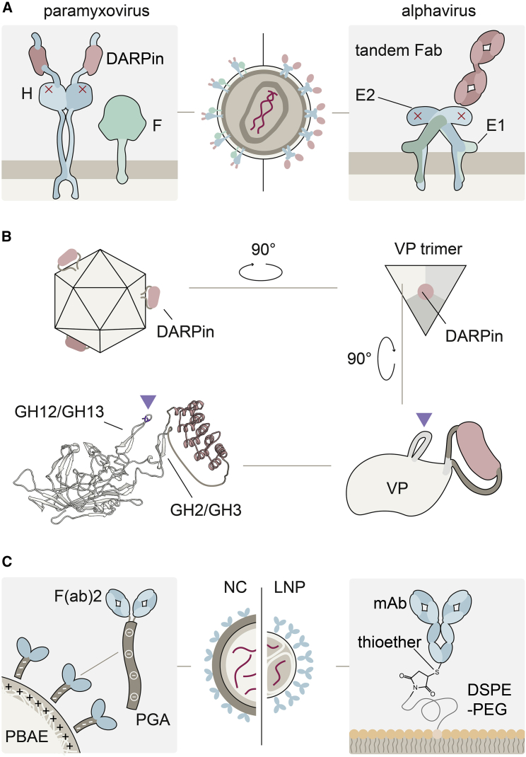 Figure 3