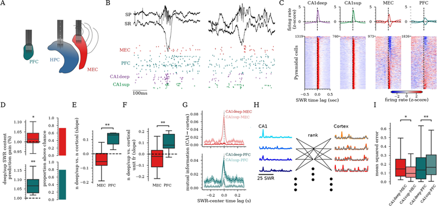 Figure 4: