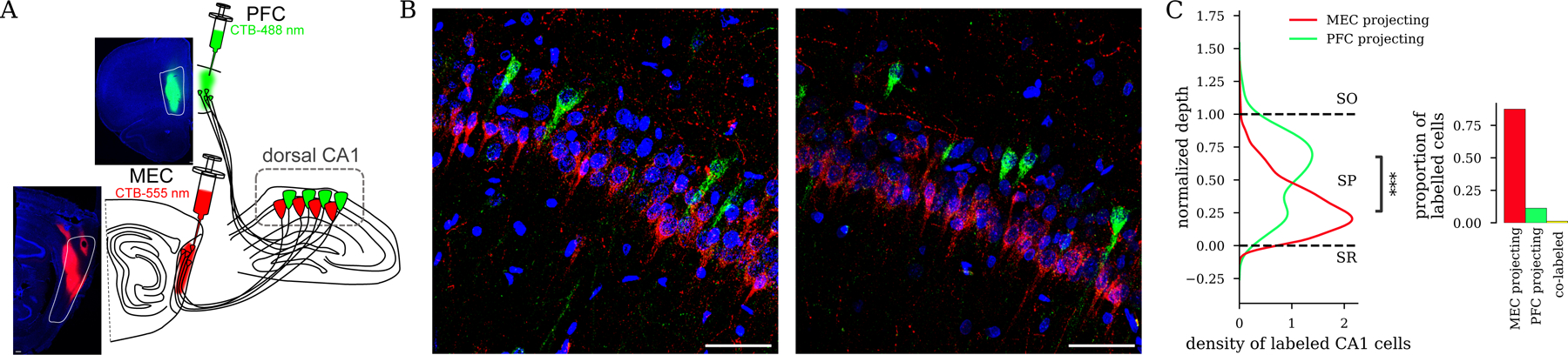 Figure 3: