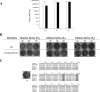 FIG. 7.