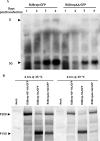 FIG. 8.