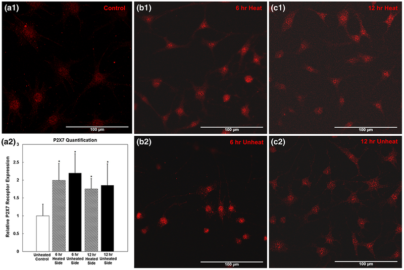 Fig. 10