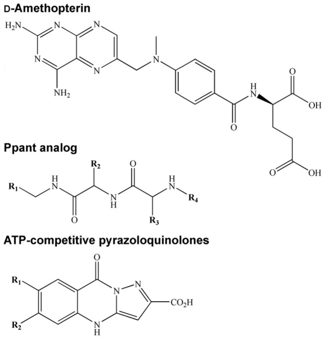 Figure 7