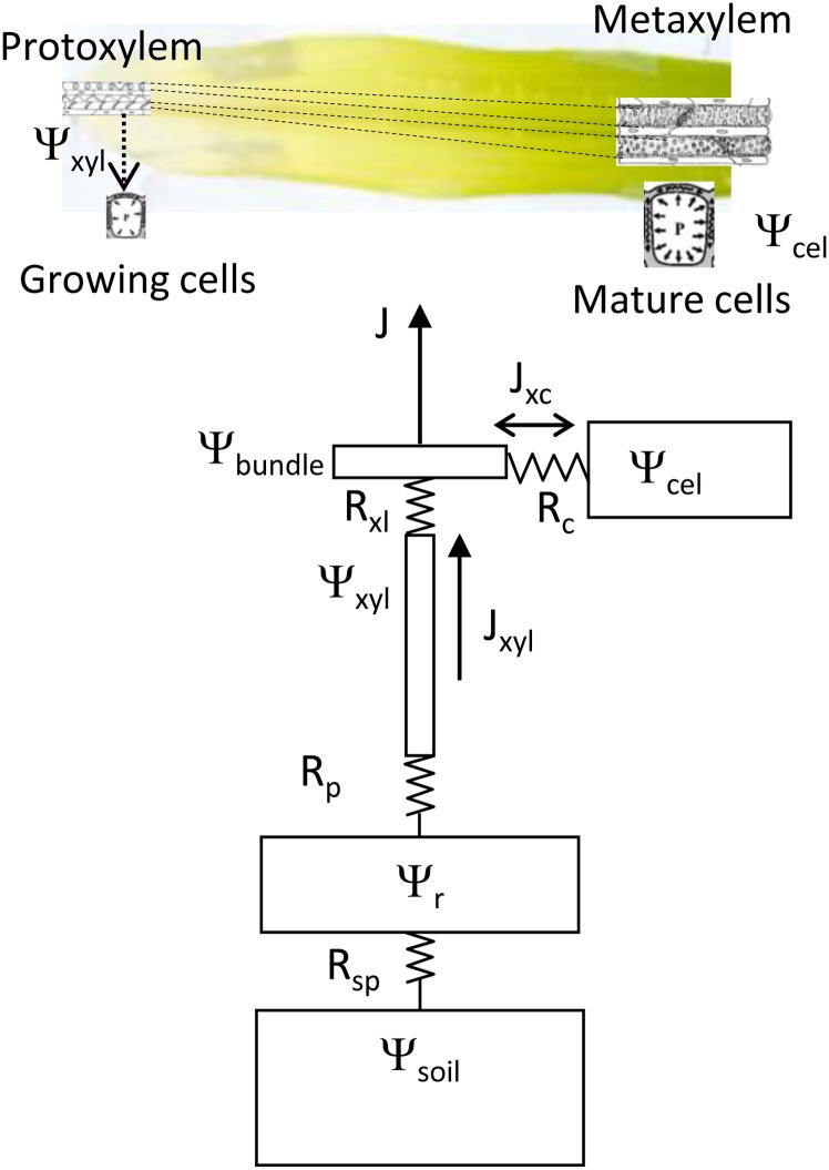 Figure 8.