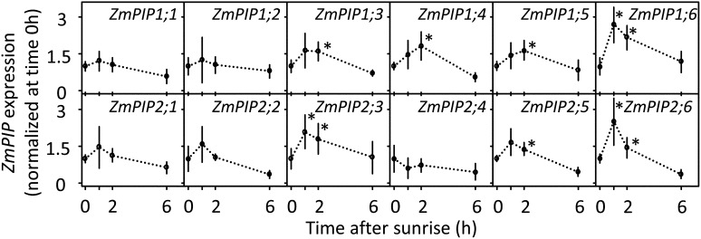 Figure 7.