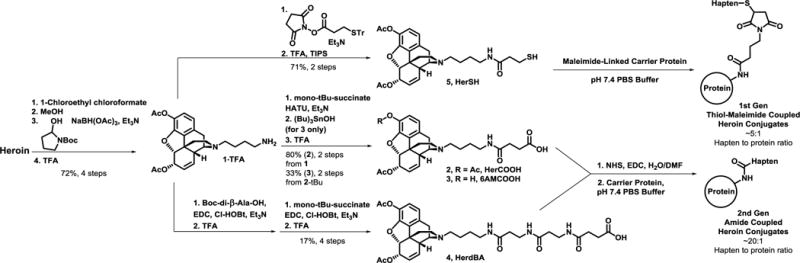 Scheme 1