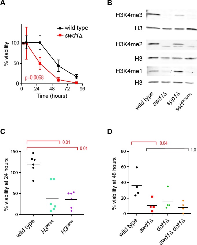 Figure 1—figure supplement 1.