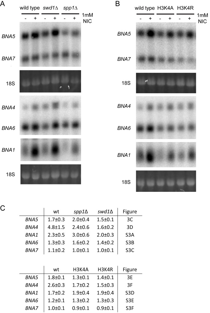 Figure 3—figure supplement 2.