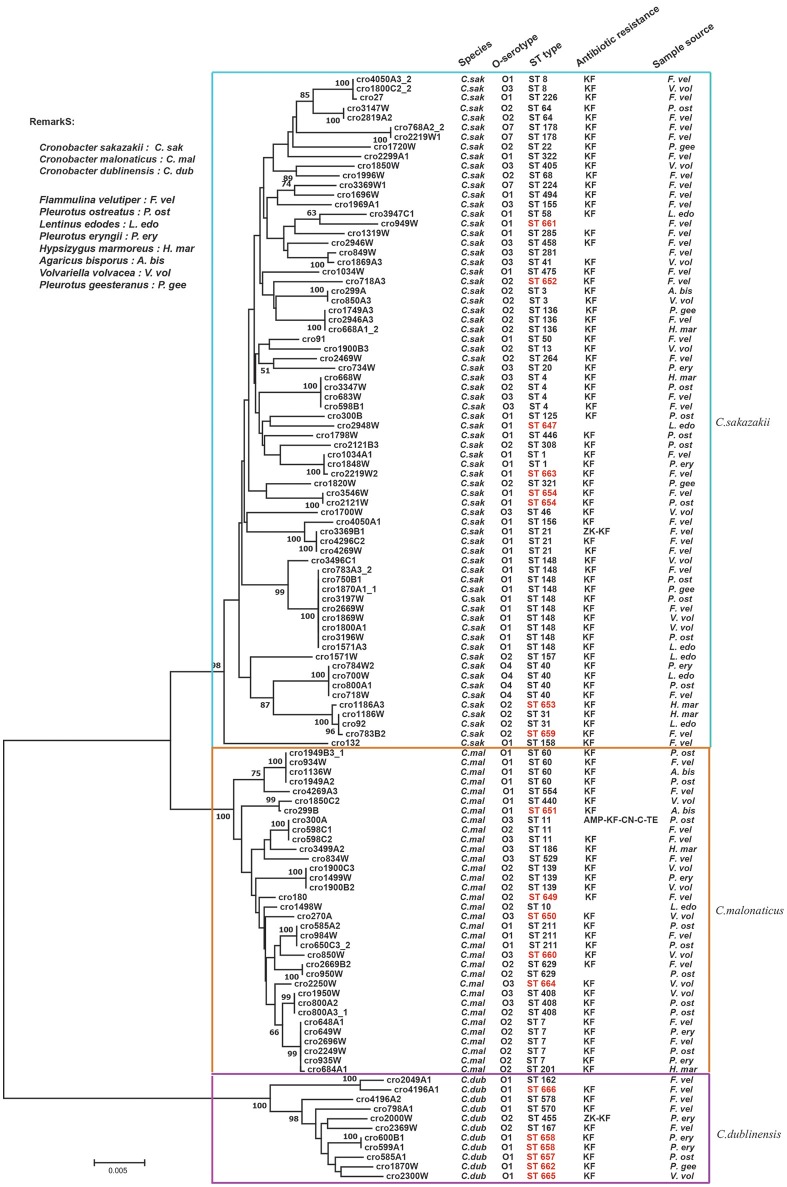 Figure 2