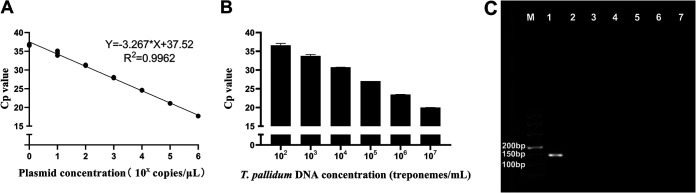 FIG 1