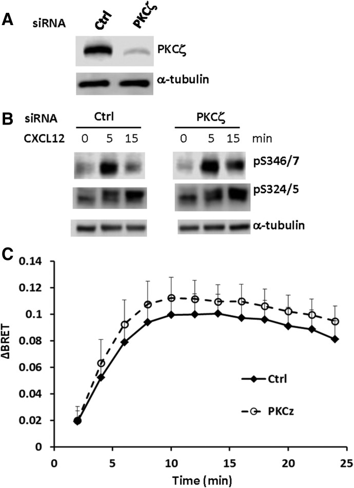 Fig. 9.