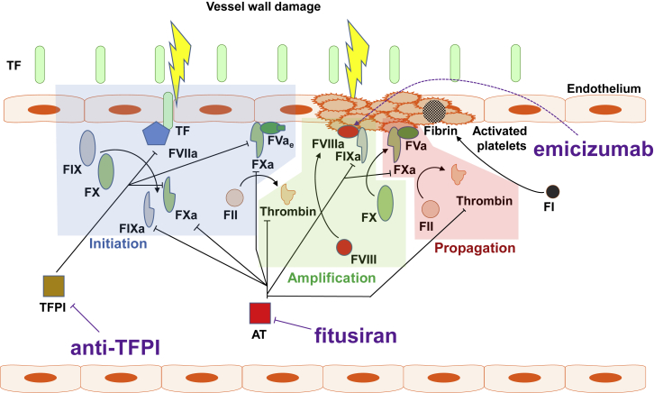 Figure 2