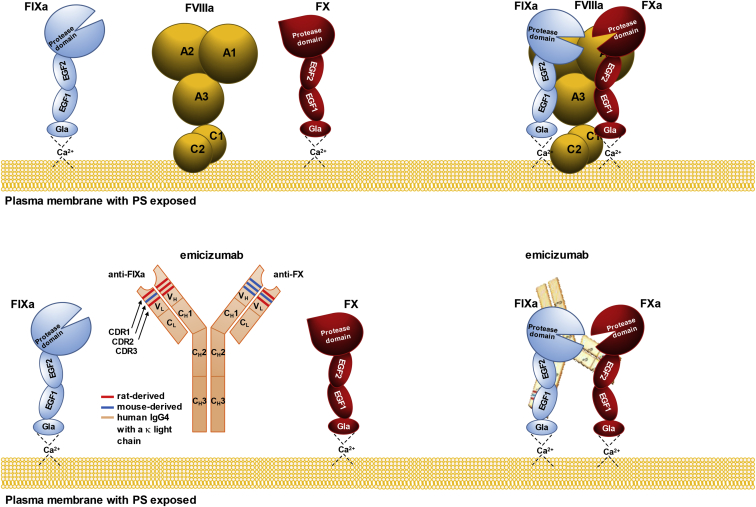 Figure 3