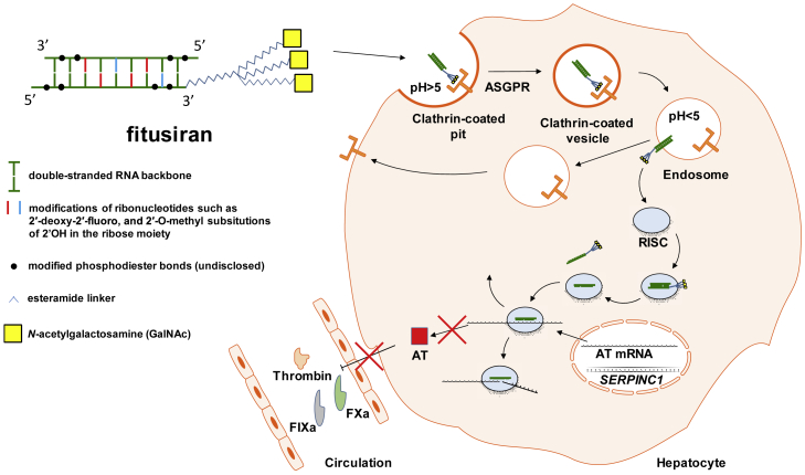 Figure 5