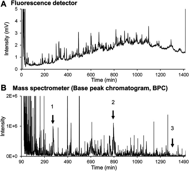 FIGURE 10