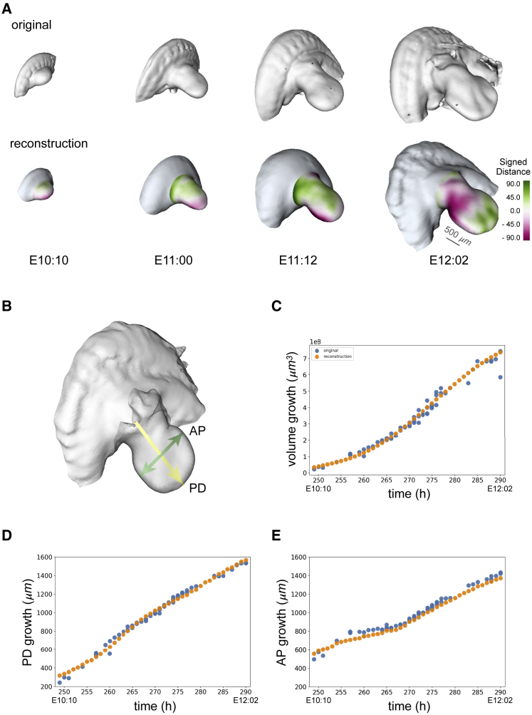 Figure 4