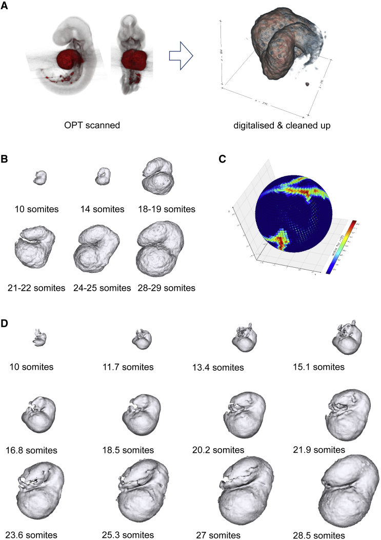 Figure 5