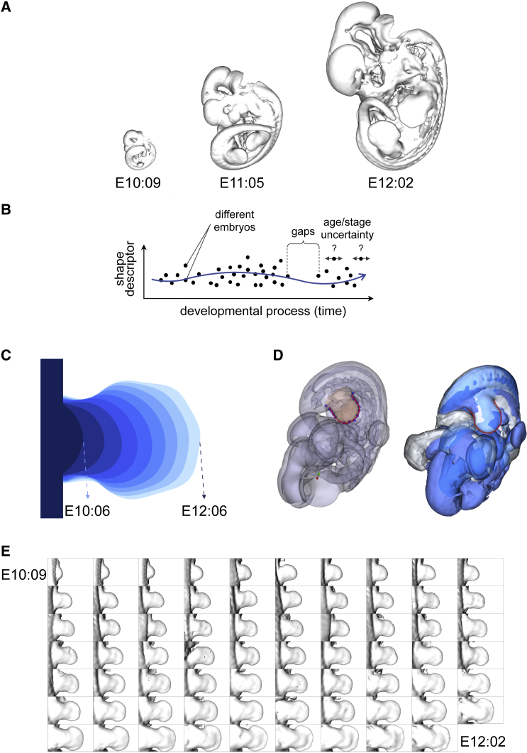 Figure 1