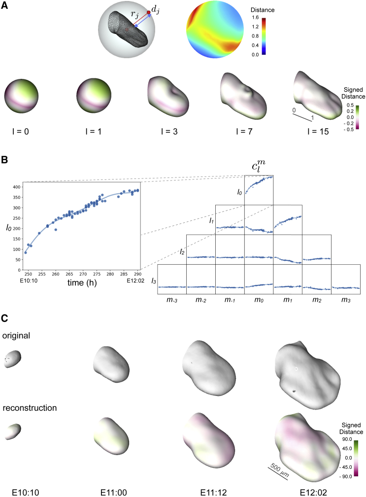 Figure 2