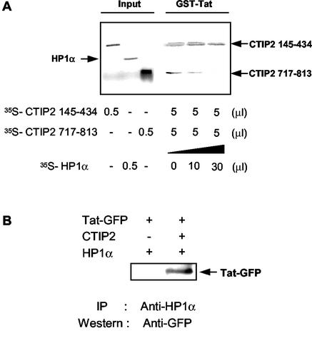 FIG. 8.