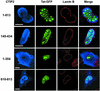 FIG. 10.