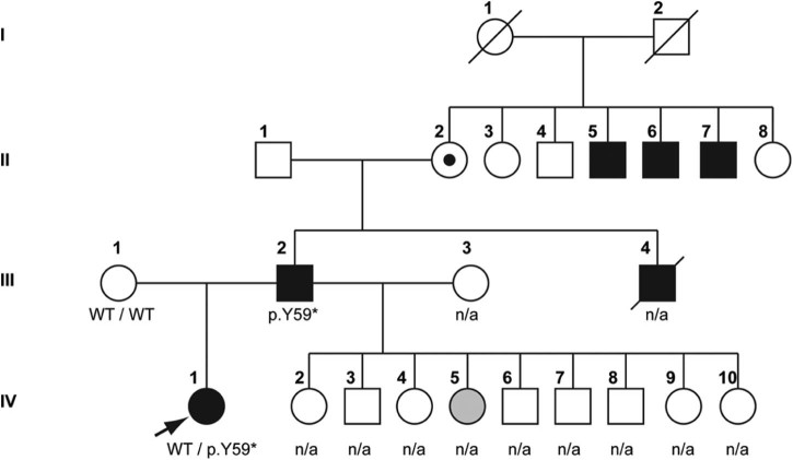 Fig. 1