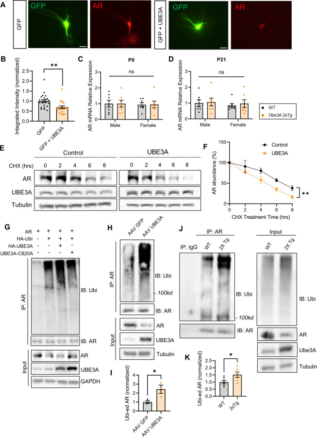 Fig. 4: