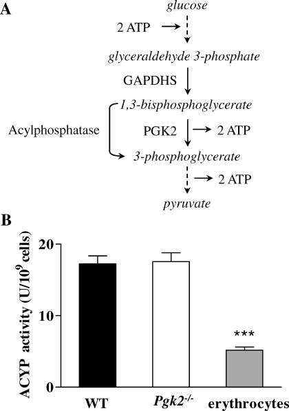 FIG. 9.