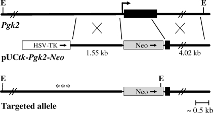 FIG. 1.