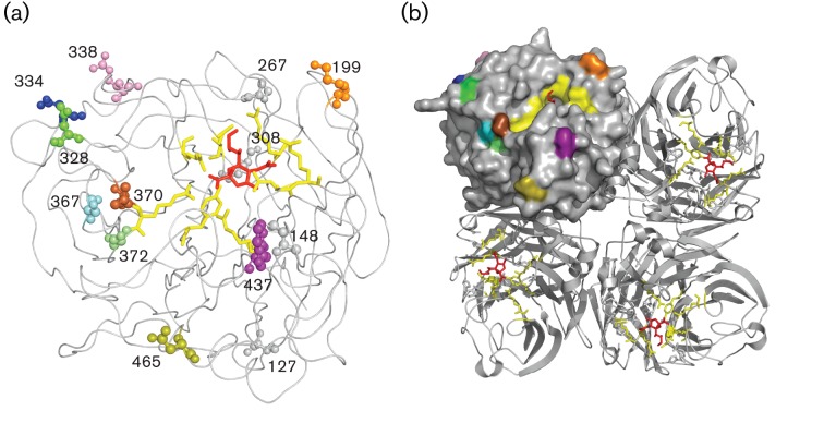 Fig. 4. 