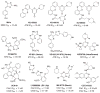 Fig. 10