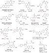 Fig. 5