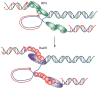 Fig. 12