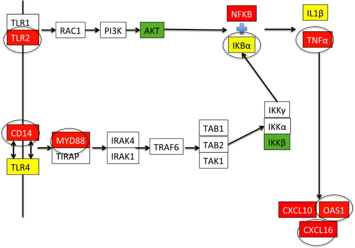 Figure 4