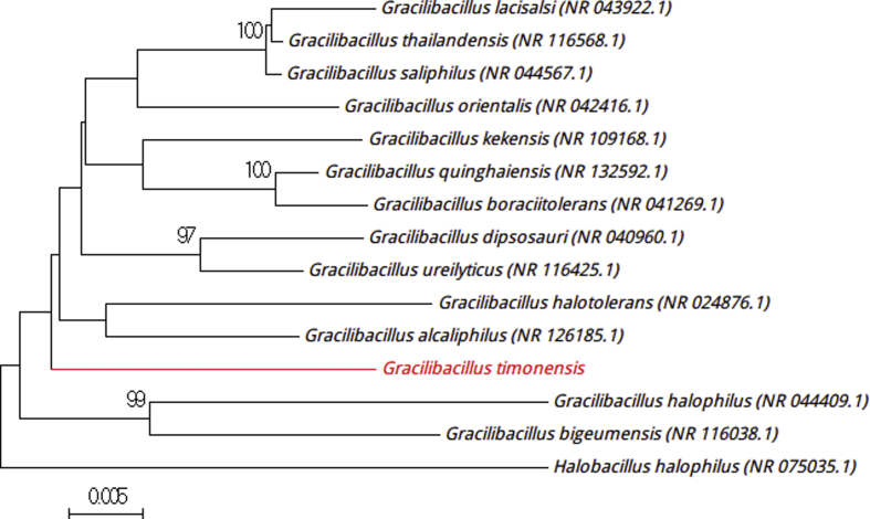 Fig. 2