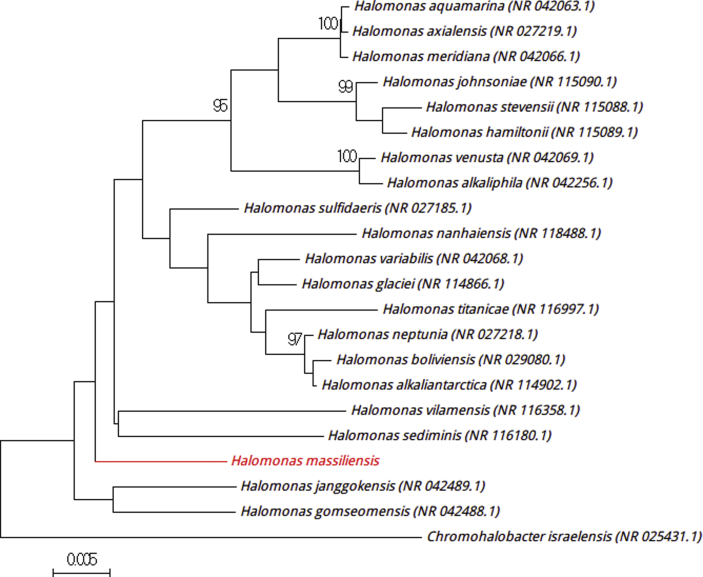 Fig. 3