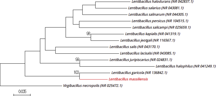 Fig. 4