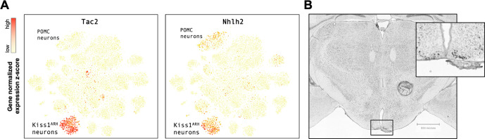 Figure 1—figure supplement 1.