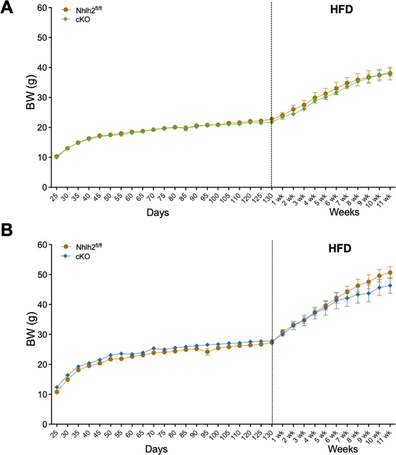 Figure 4—figure supplement 2.