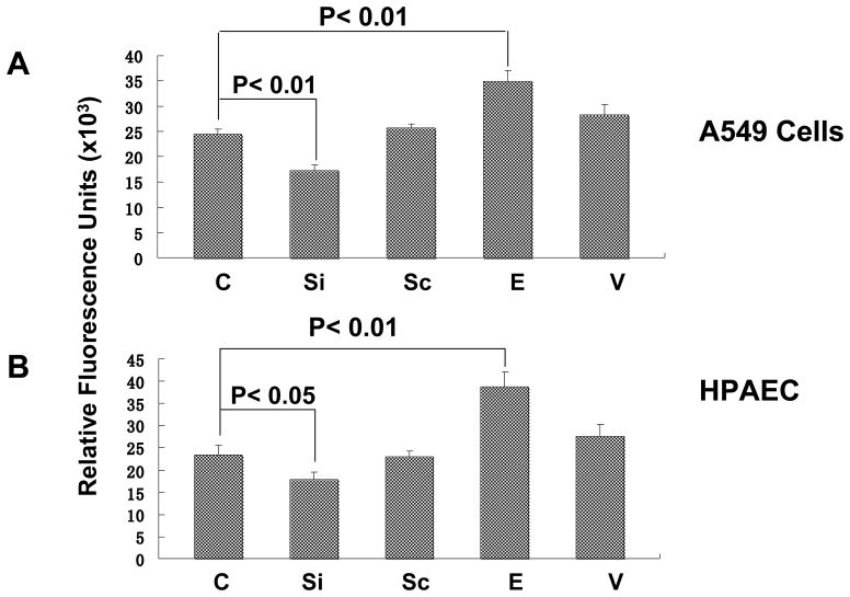 Fig. 12