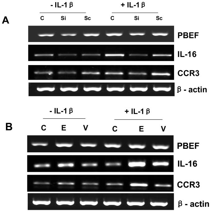 Fig. 11