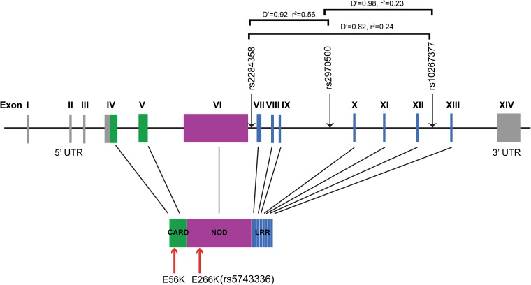 Fig. S6.