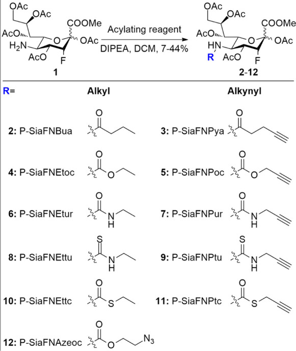 Scheme 1