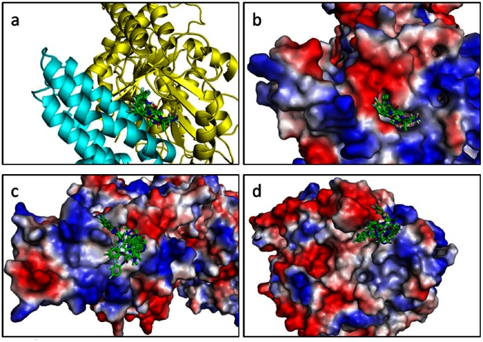 Figure 5