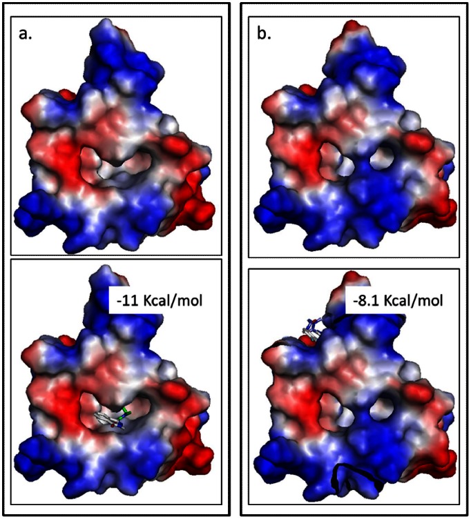 Figure 9