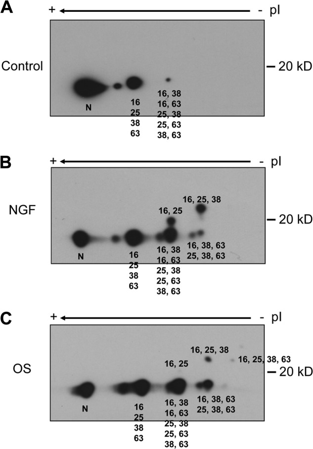 FIGURE 3.